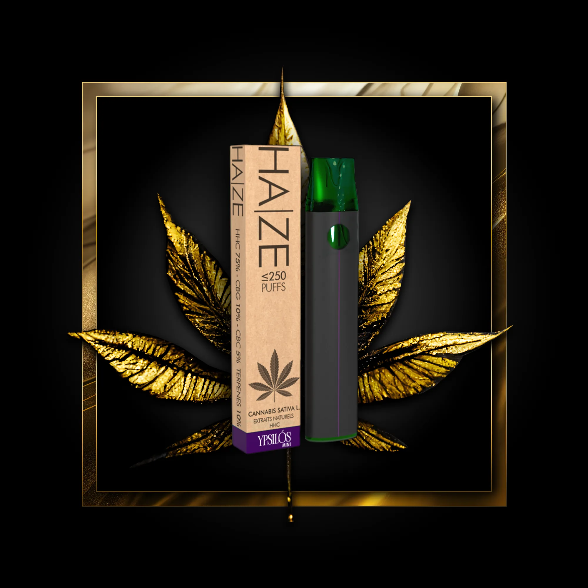 Haze (usa e getta) 250 erogazioni - 0,50 ml. HHC