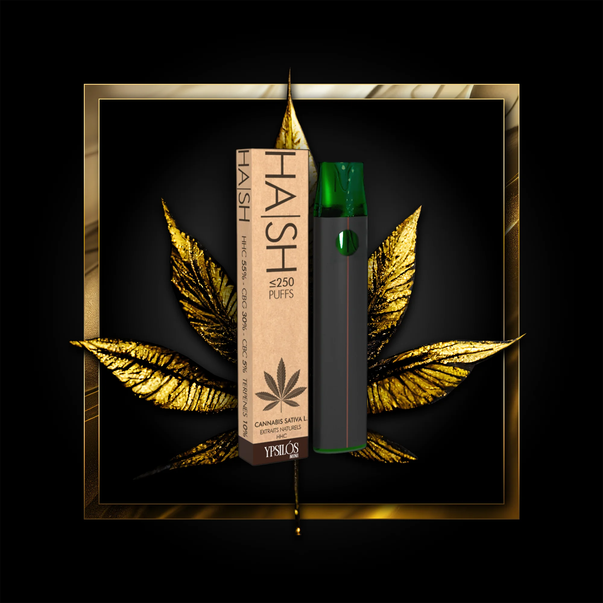Hash (monouso) 250 sbuffi - 0,50 ml. HHC